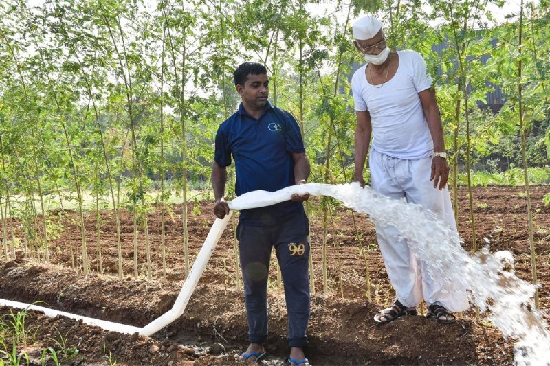 PE lay flat hose used for irrigation support in agricultural field