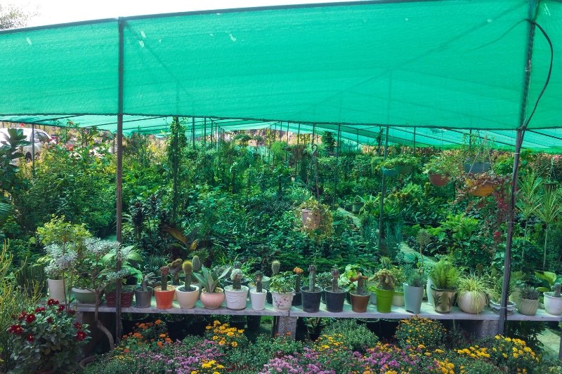 Shade net used for protected farming and crop protection